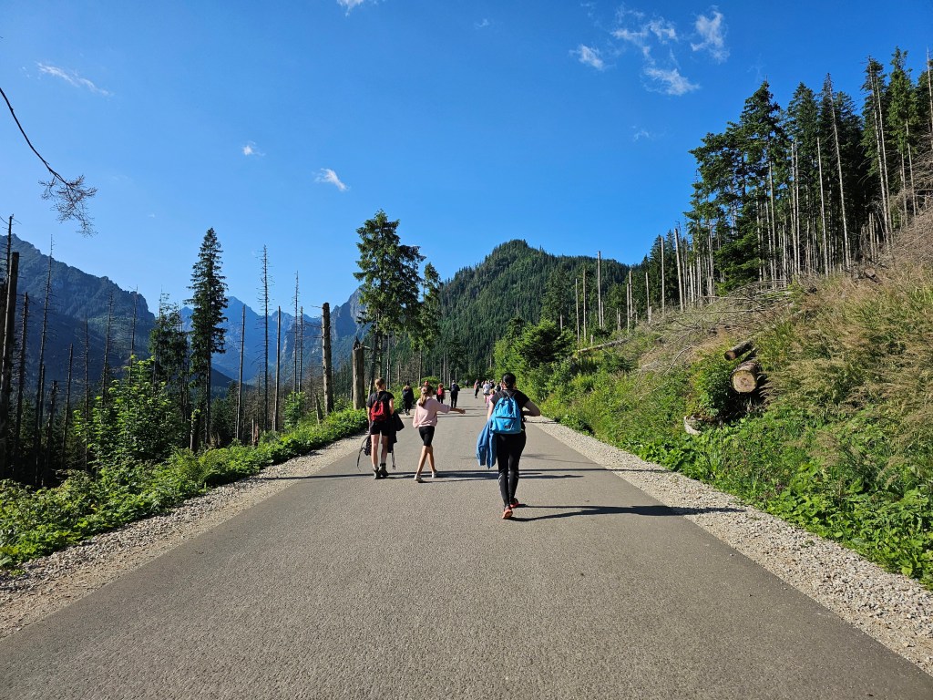 An asphalt road with several hikers, with mountains in the background