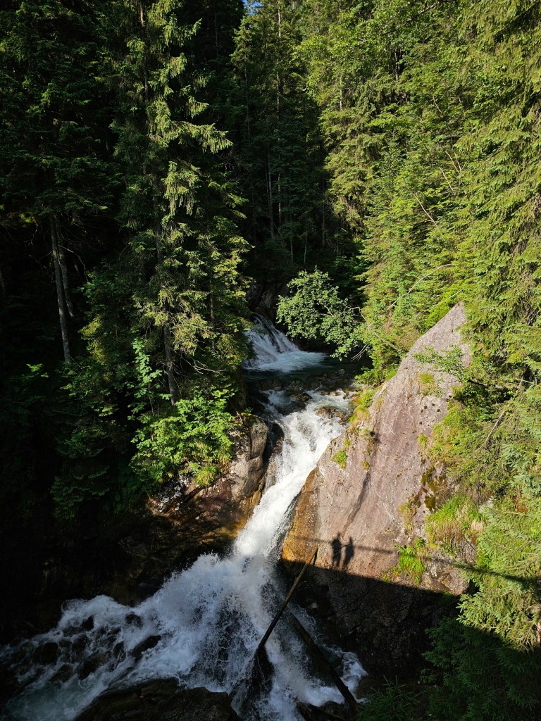 A two-tiered waterfall in a forest