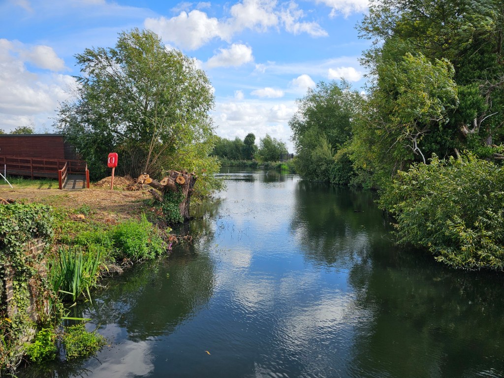 A body of water surrounded by hedges and trees, with blue skies above.