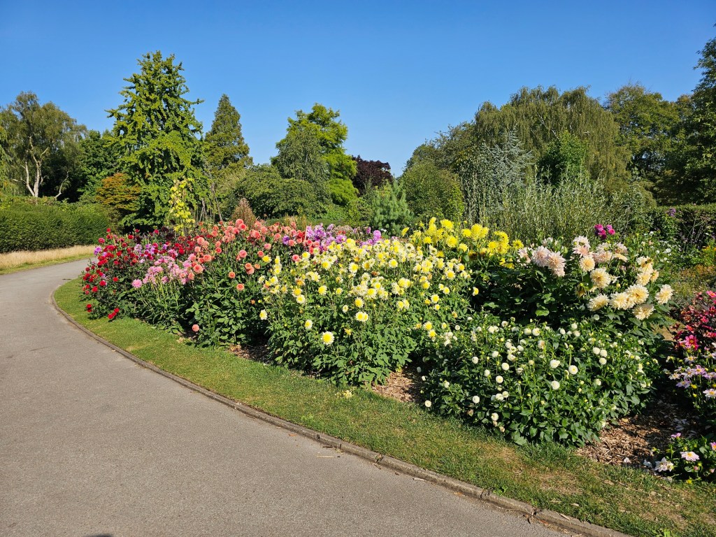 Lots of colourful flowers in a neat park in York, England