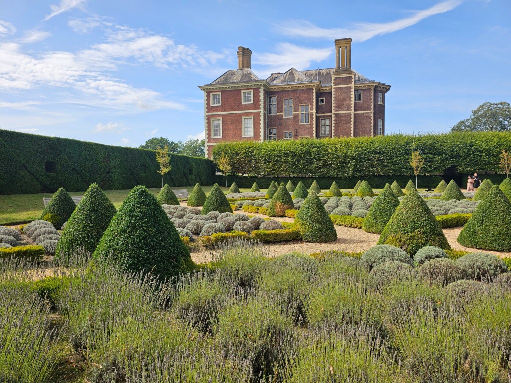 Beautiful lavender garden with trimmed hedges next to Ham House, London