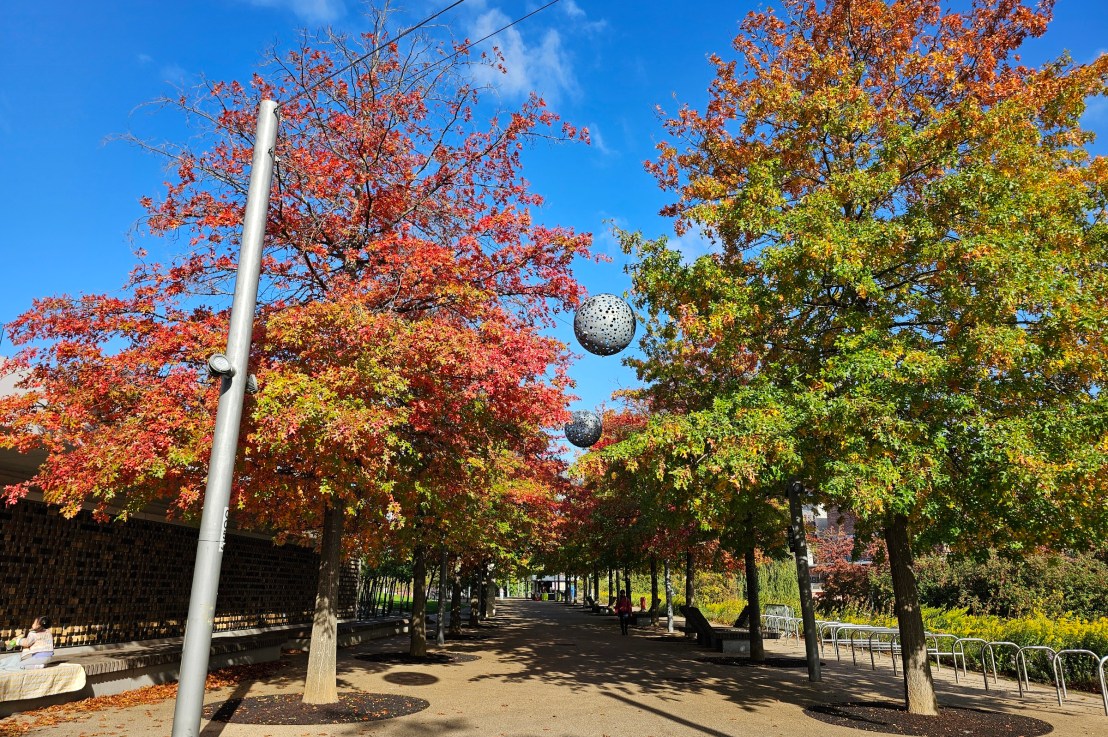 London In Photos – Autumn 2025 – Parks, Halloween,&nbsp;Fireworks