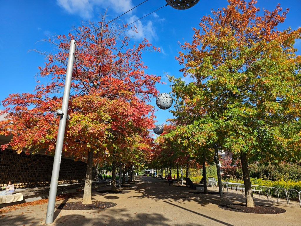 An alley in the Olympic Park, London, lined on both sides with colourful trees in all shades of red. The sky is blue and the day appears beautiful.