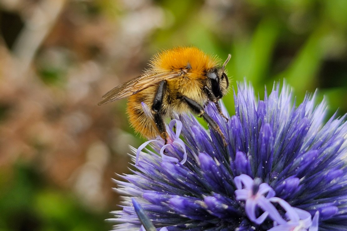 New Year’s Resolutions 2026 – Fitness, Crafts, Education And More