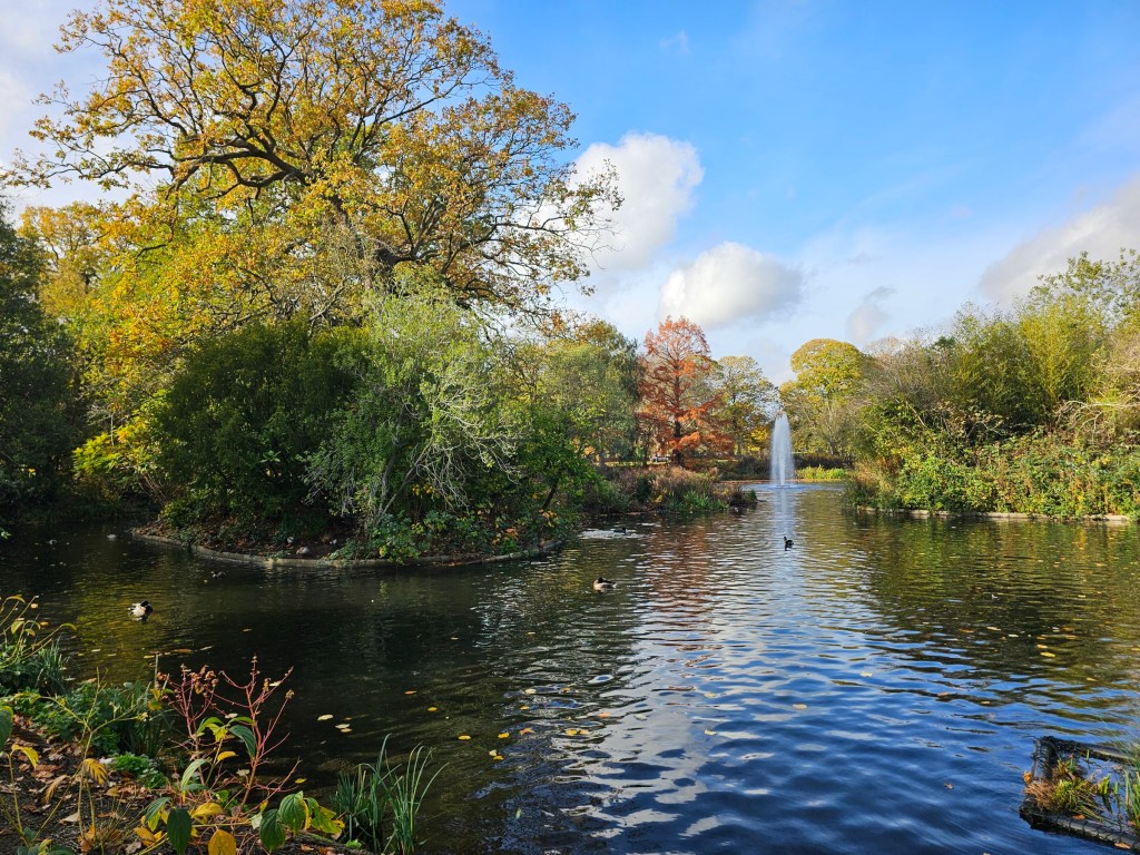Autumnal view of the pond in Greenwich Park, London