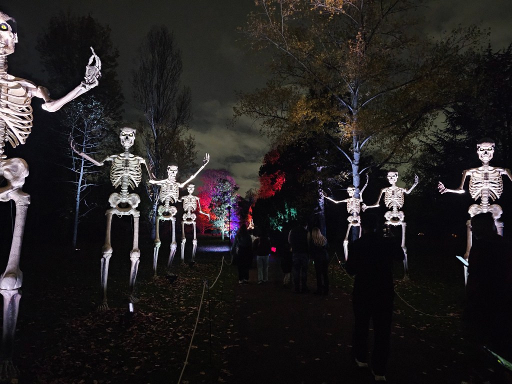 A pathway lined with giant skeletons on both sides in Kew Gardens during an evening Halloween event.