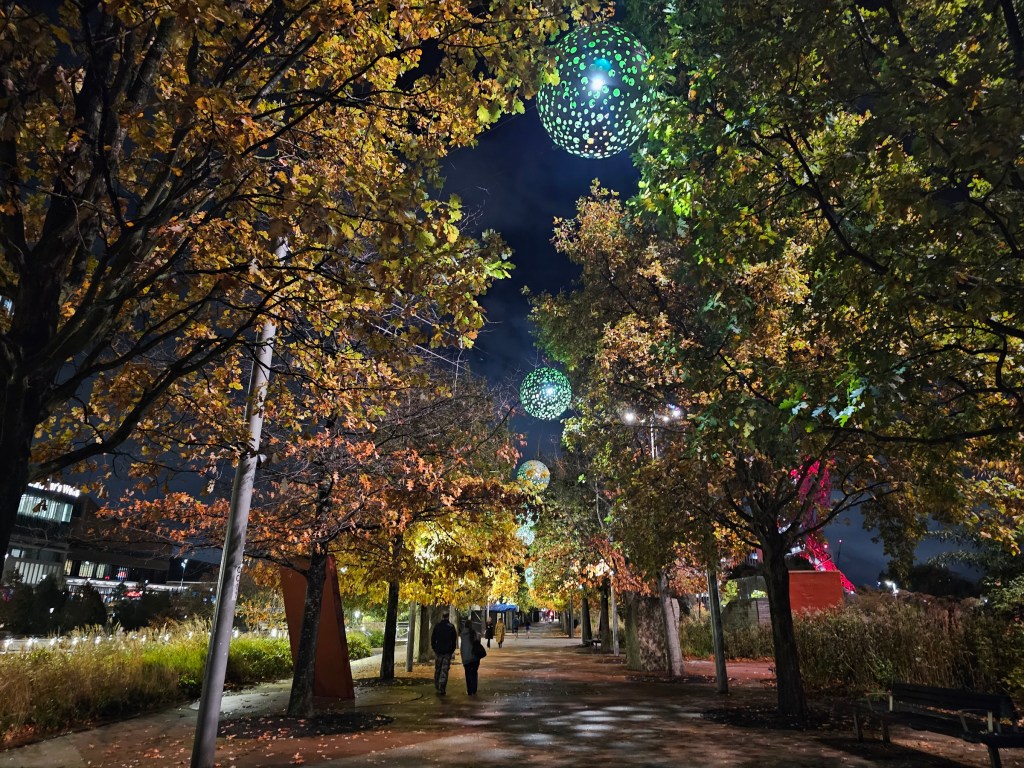 An alley in the Olympic Park, London, lined on both sides with colourful trees, photographed at night.