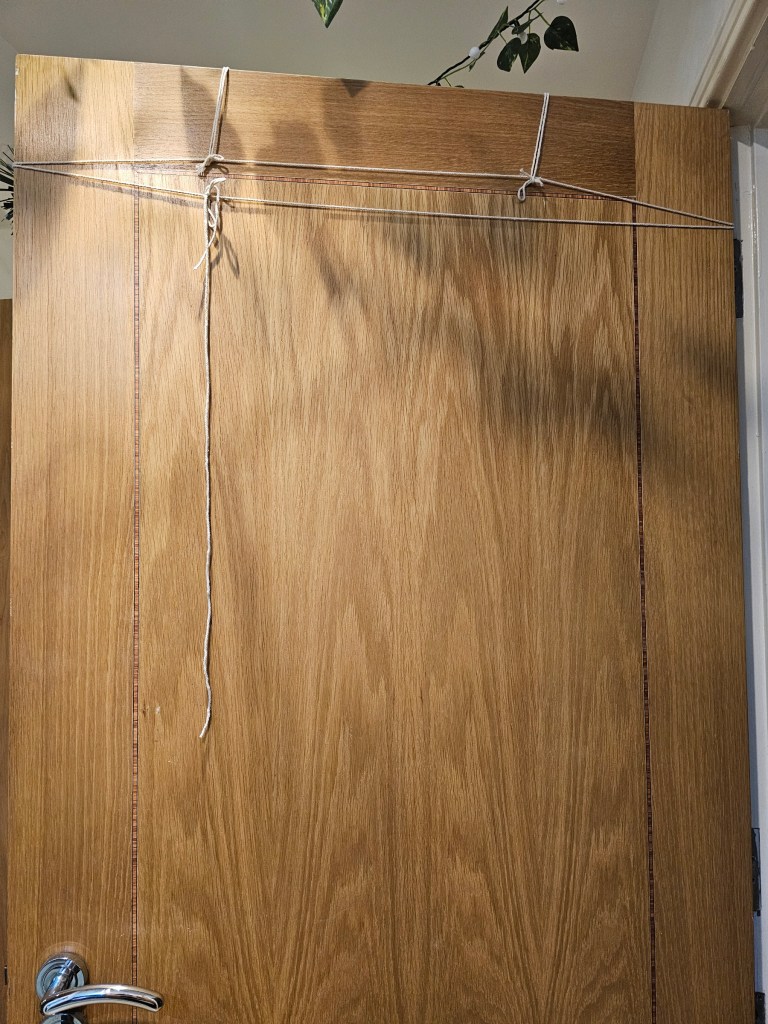 The back of the door with a Christmas garland - the garland is suspended on pieces of string.