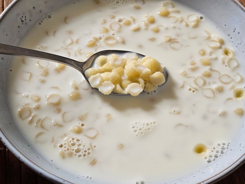 Polish milk soup with pasta - warm milk with cooked small variety of pasta