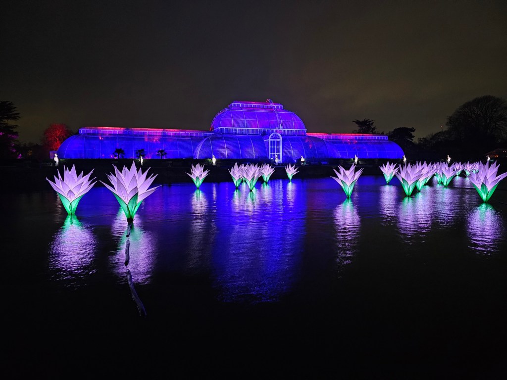 Illuminated giant water lillies in a pond in front of a glasshouse in Kew Gardens during Christmas at Kew event
