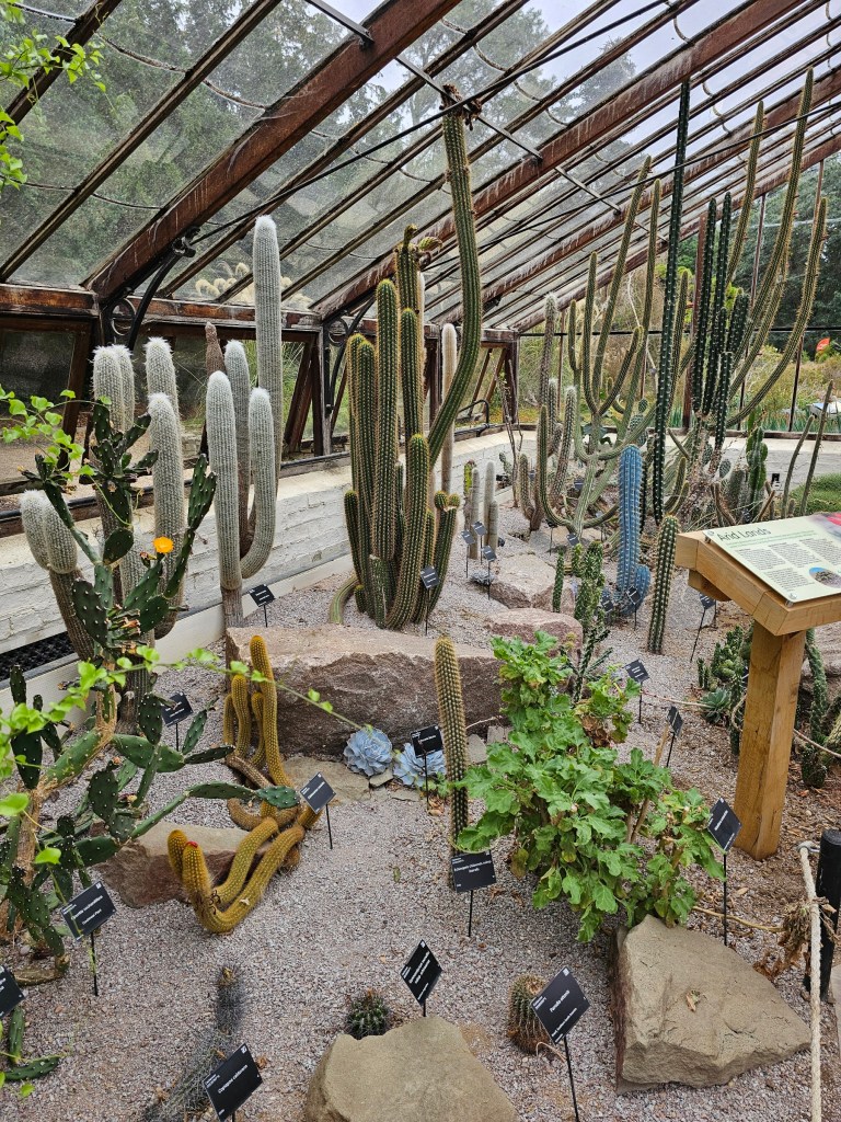 Cactus greenhouse in the botanical garden in Cambridge, England