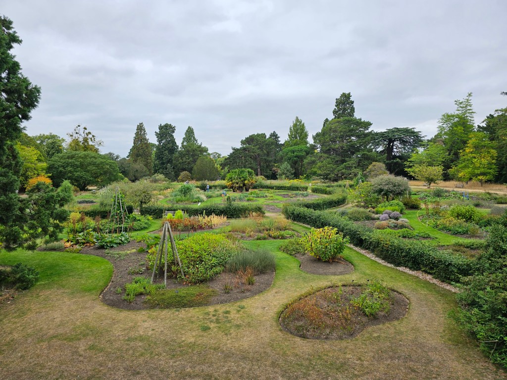Botanical garden in Cambridge, England