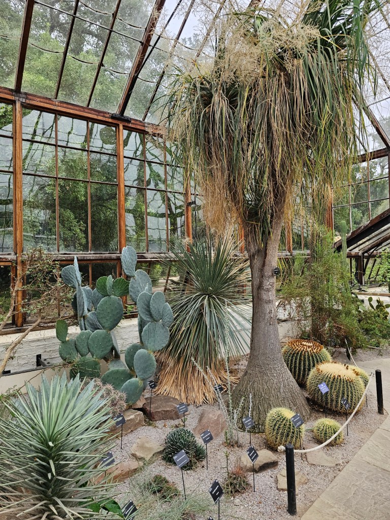 Cactus greenhouse in the botanical garden in Cambridge, England