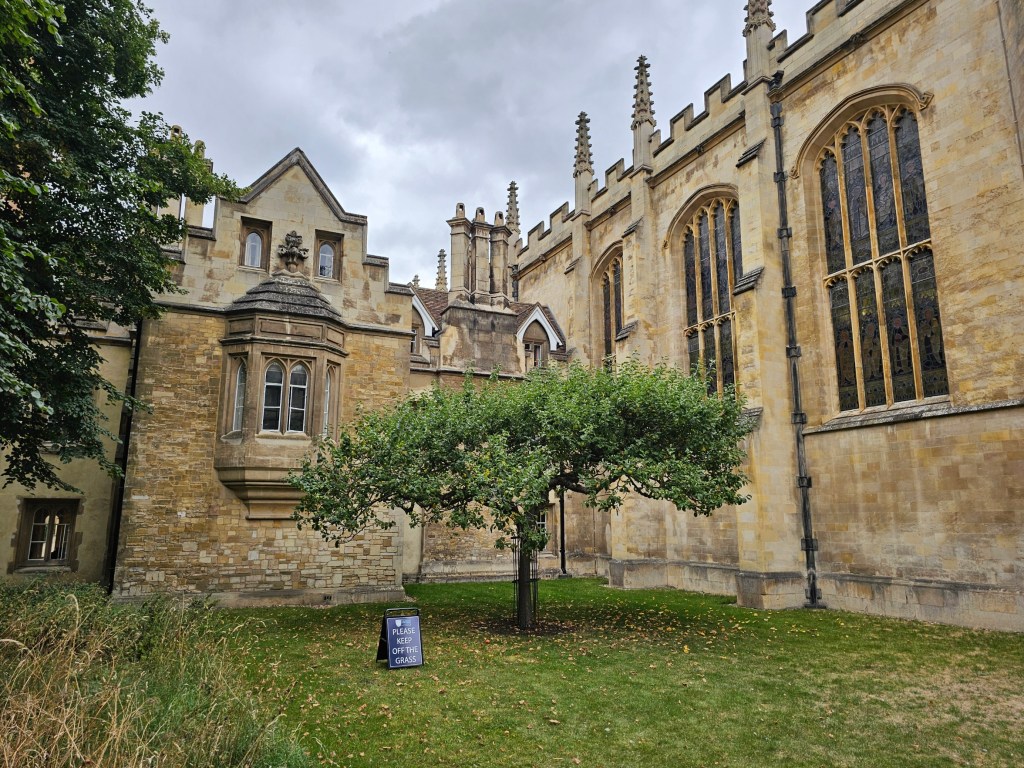 Newton's apple tree in Cambridge, England