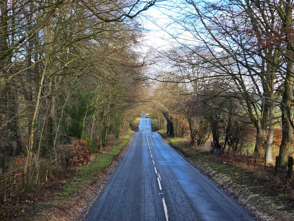 A photo of a narrow English road with trees on both sides. Photo taken from the top floor of a bus.