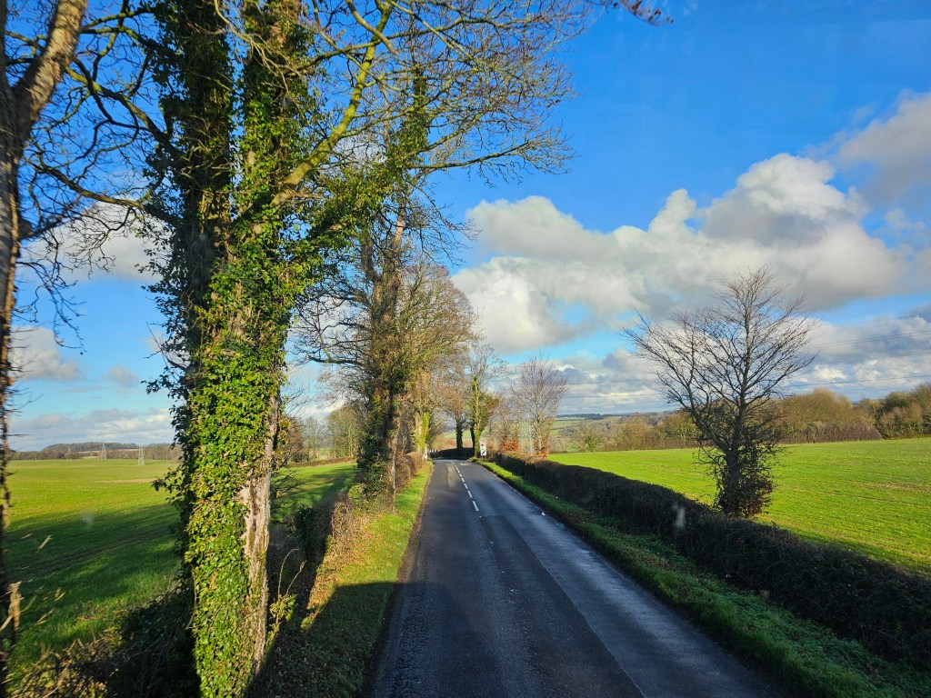 A photo of a narrow English road with trees on both sides. Photo taken from the top floor of a bus.