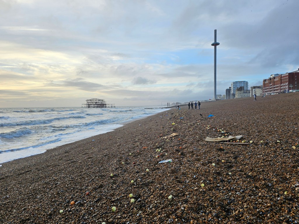 Hundreds of vegetables thrown out of the sea onto Brighton beach