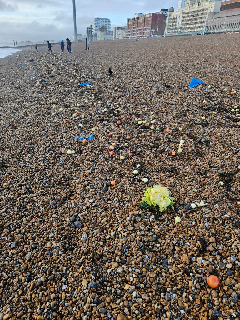 Hundreds of vegetables thrown out of the sea onto Brighton beach