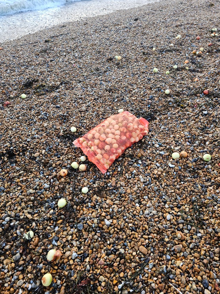 A sack full of onions thrown out of the sea onto the beach in Brighton, England