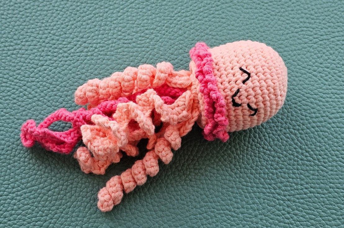 DIY Crochet Set –&nbsp;Jellyfish