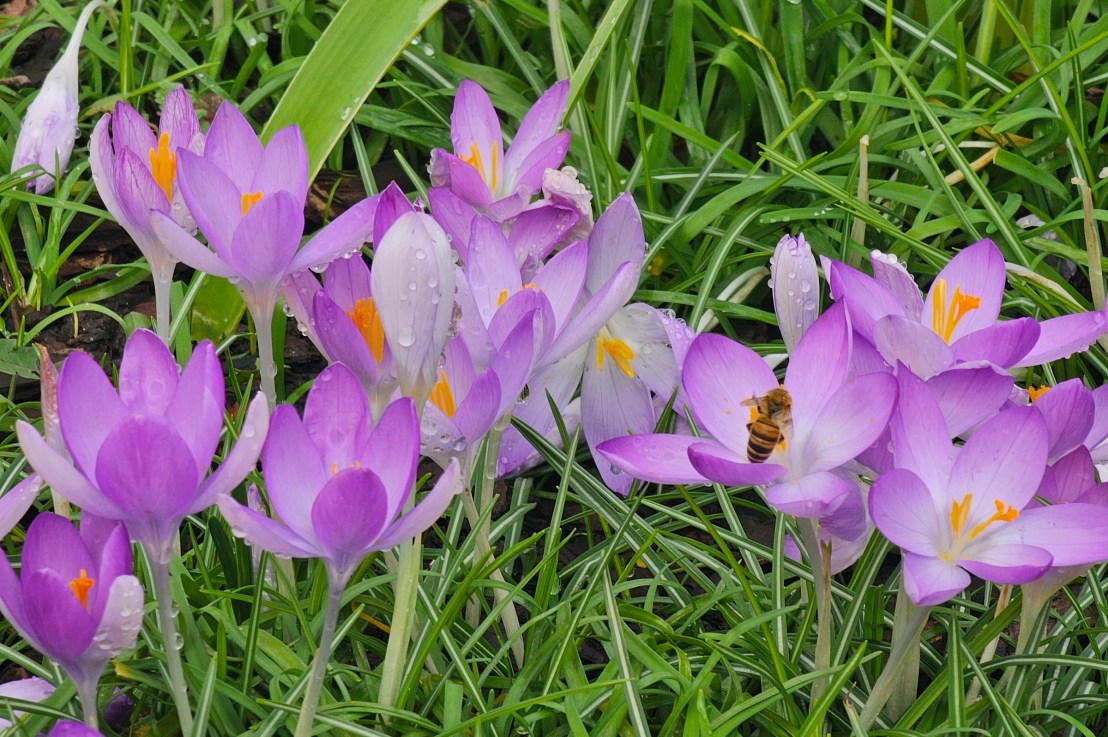 London In Photos – Winter 2025/2026 – Nature, Landmarks, Walks, Day&nbsp;Trips