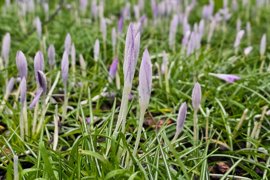 New Year’s Resolutions 2026 – 3 Month&nbsp;Update