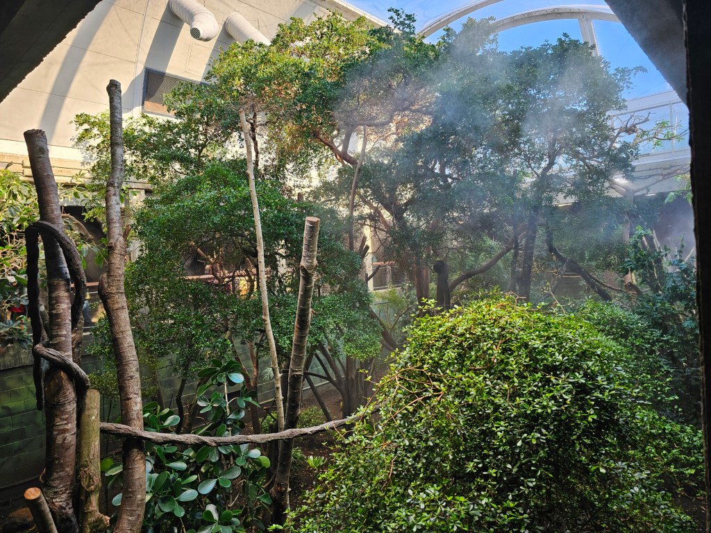 A tropical enclosure with monkeys, sloths and bats in London zoo