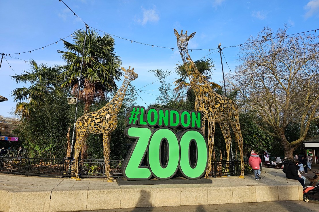 Visiting London Zoo – Is It Worth Your Money – Winter Day&nbsp;Out