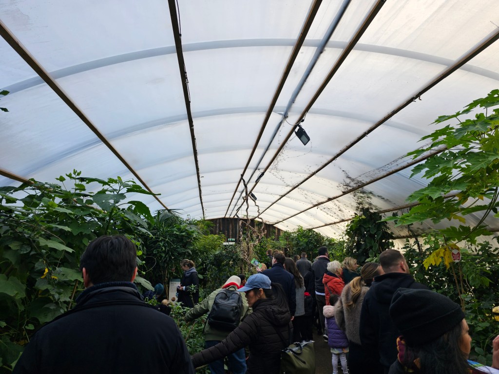 A butterfly house full of visitors in London zoo