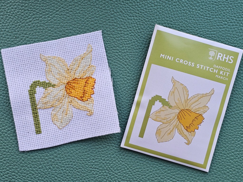 Completed small cross stitched daffodil from an assorted kit