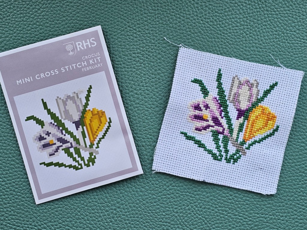 Finished mini cross stitch design featuring three crocuses