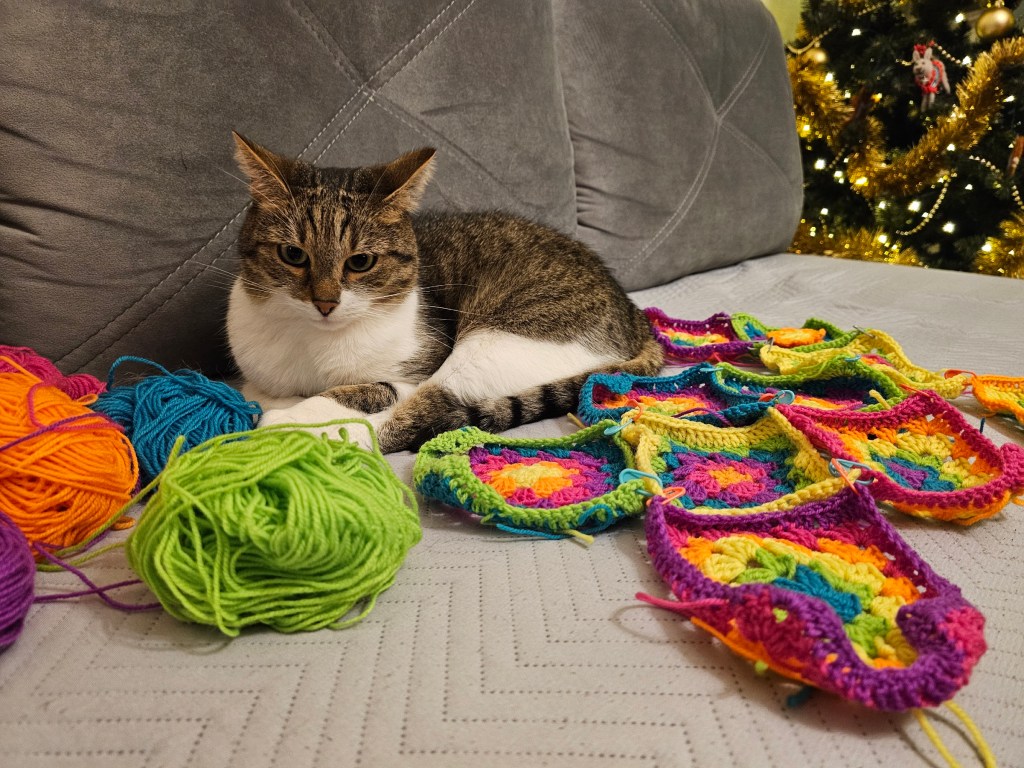 A bunch of colourful granny squares pinned together, laid on a sofa next to a cat