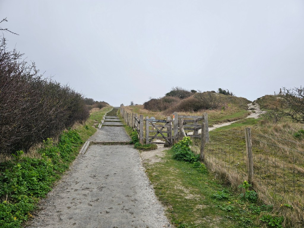 A countryside path with green grass on both sides. The sky is overcast.