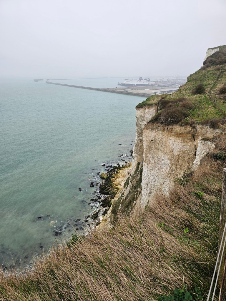 The edge of white cliffs. There is green grass on top of the cliff. The sea and Dover harbour can be seen far below.