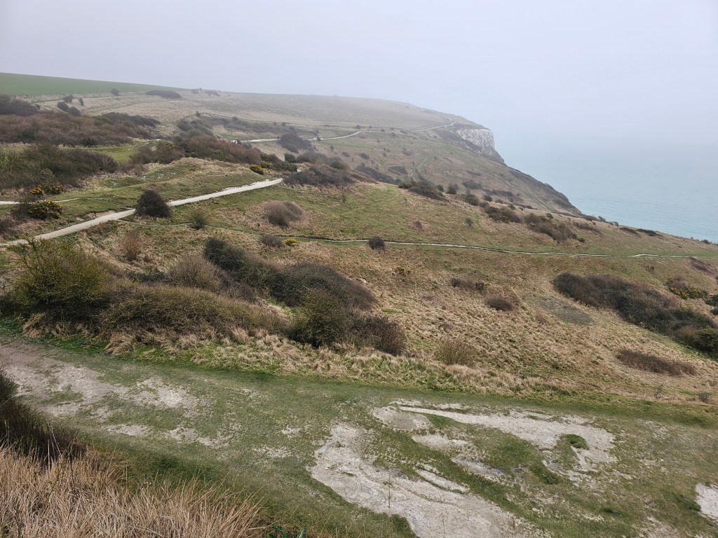 The top of a white cliff in Dover, covered with grass and small bushes. Some pathways can also be seen.