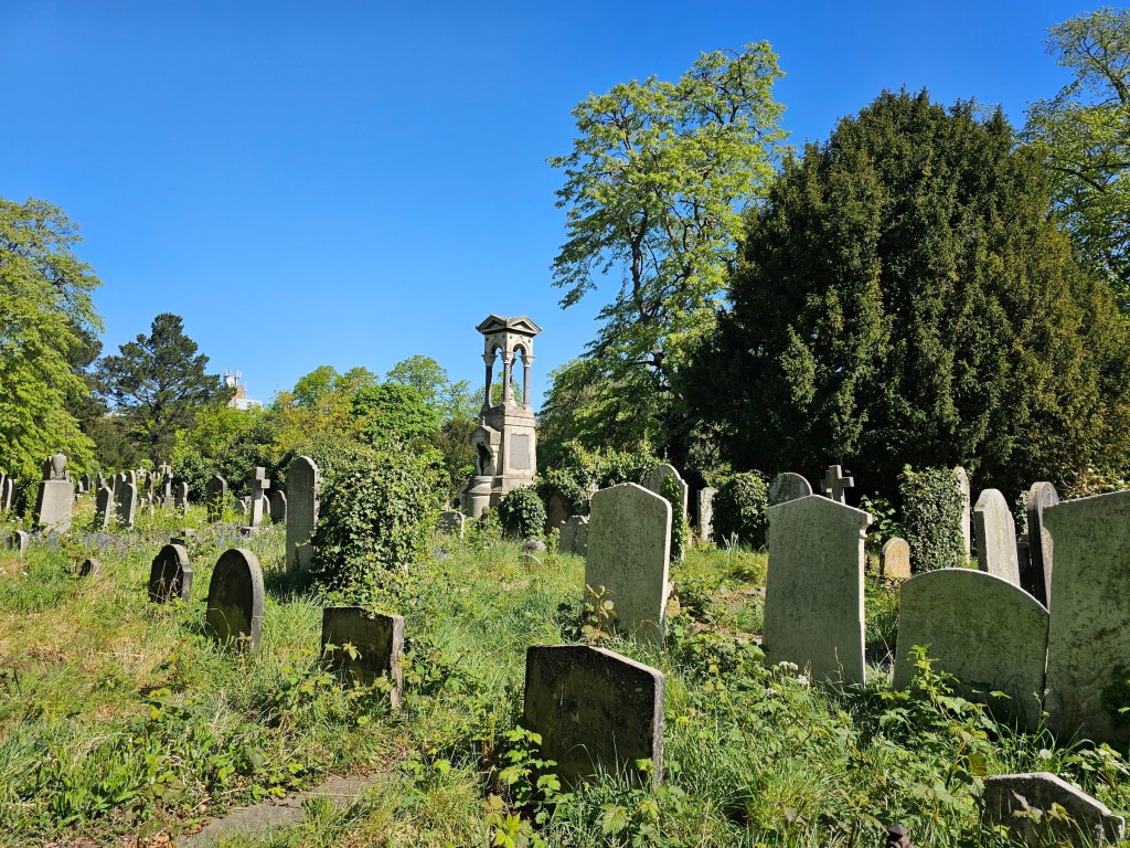 Rows of tombstones in Brompton Cemetery, London