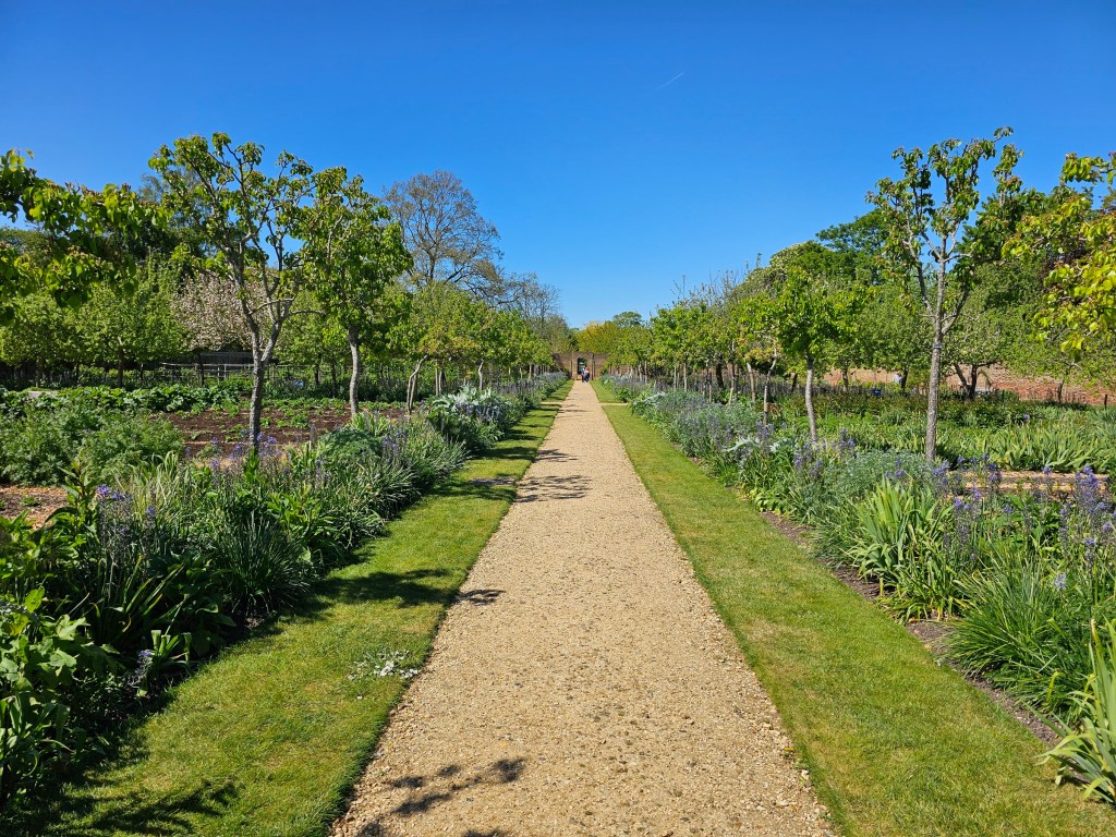 A long path through the Kitchen Garden of Chiswick House, London