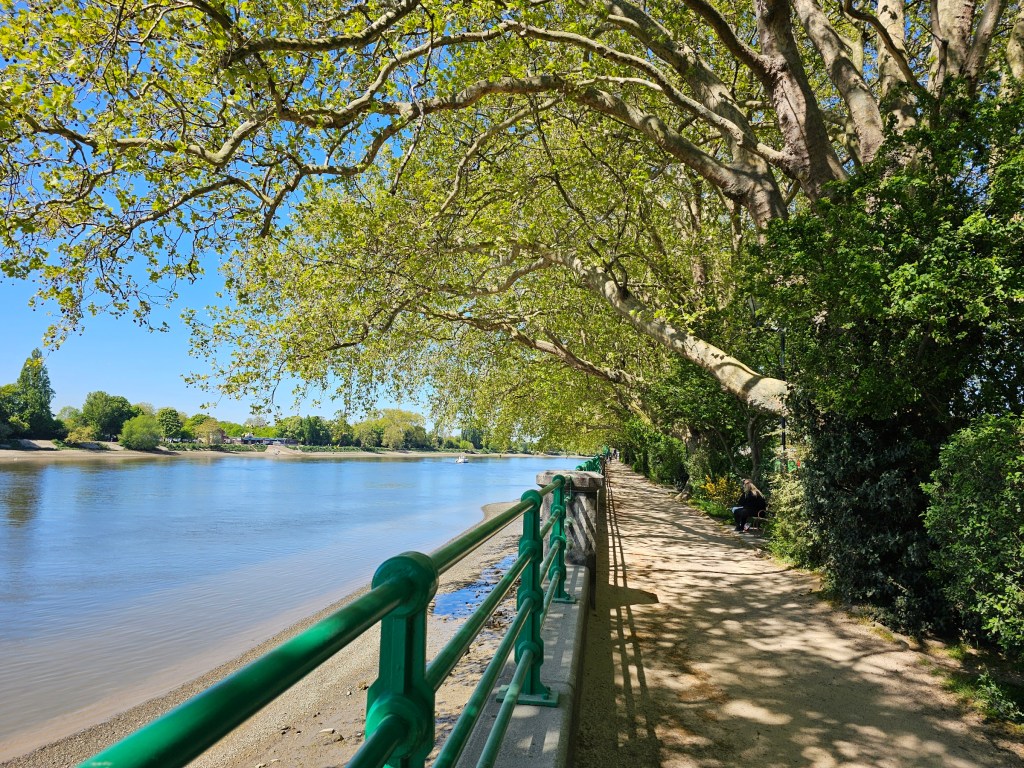 A footpath along the river Thames in west London. The river can be seen on one side, and a row of trees is on the other side