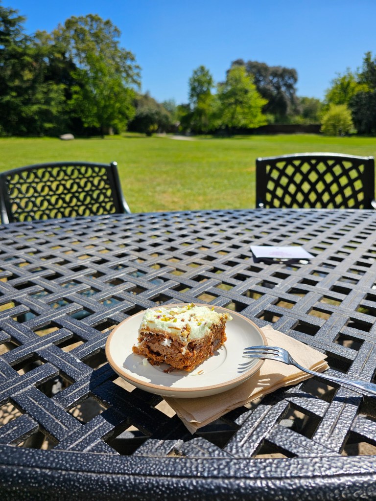 Carrot cake on a plate, on a metal table, in the garden of Fulham Palace, London