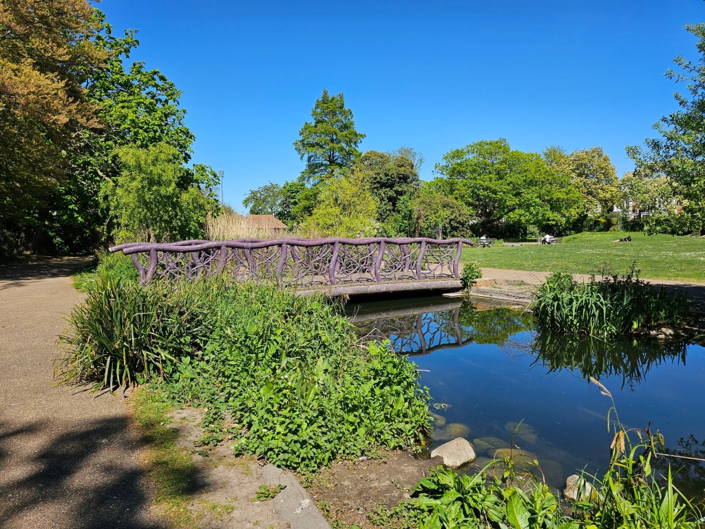 Funky purple bridge over a pond in Bishops Park, Fulham, London