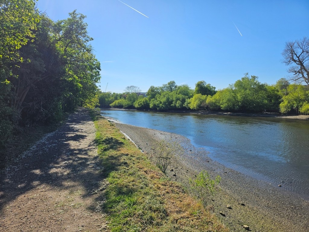 Photo of River Thames taken at spring. There are green trees and bushes, and a blue sky.