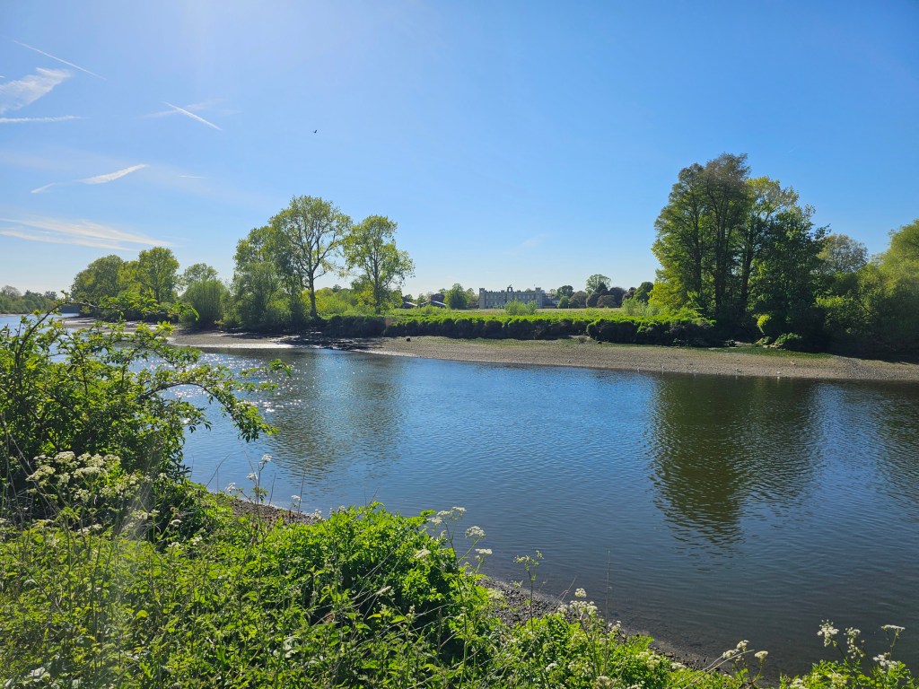 Photo of River Thames taken at spring. There are green trees and bushes, and a blue sky. Syon House can be seen far on the horizon.