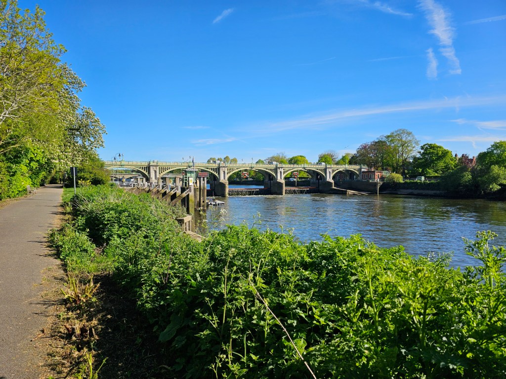 Richmond lock and a footbridge over the Thames in London. Photo taken during spring. There are green bushes and blue skies.