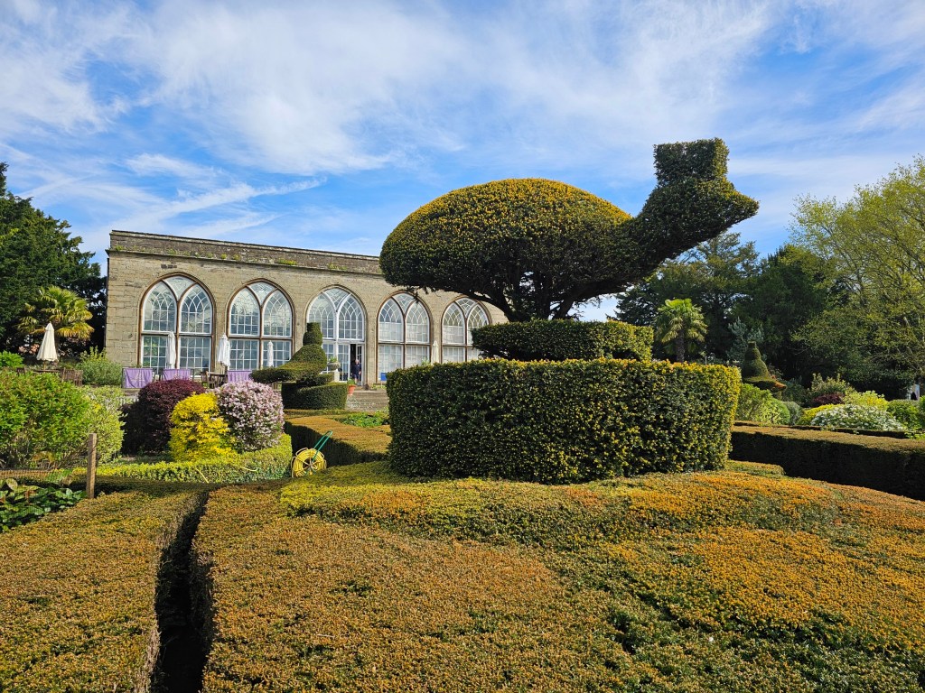 An elegant garden in Warwick Castle, with bushes trimmed to the shape of peacocks