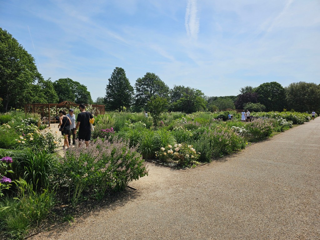 A rose garden in Greenwich Park, London