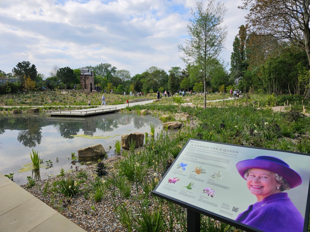 Freshly opened wildflower garden in Regent's Park, London
