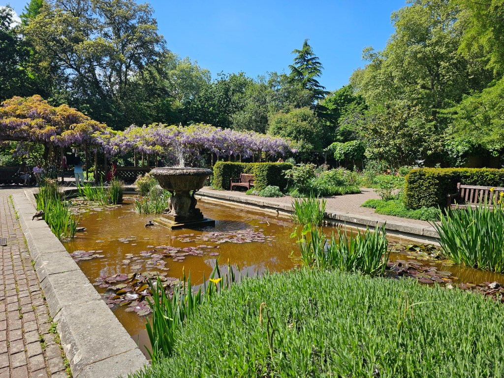 Old English Garden in Battersea Park, London. There's a small fountain, some benches, and wisteria in the background