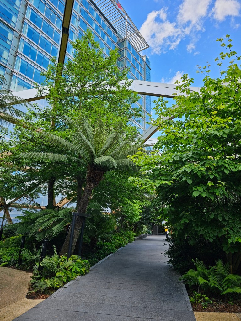 Tropical rooftop garden in Canary Wharf, London