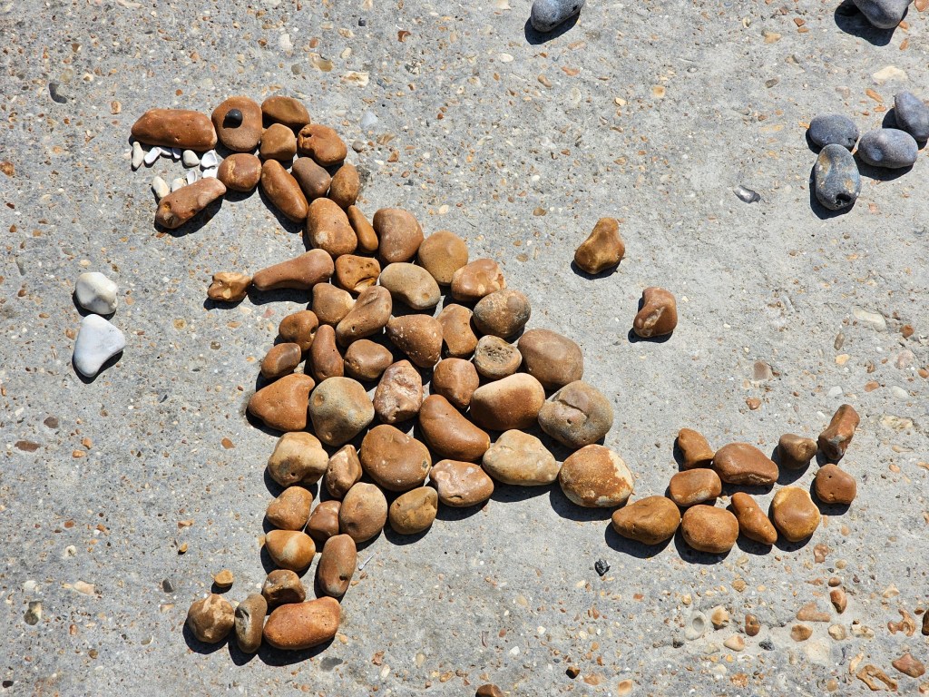 A dinosaur arranged from pebbles on the beach in Hastings