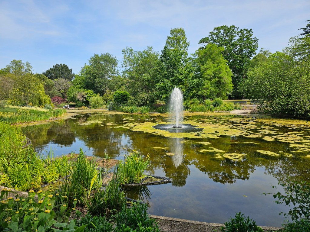 A pond with a fountain in the flower garden in Greenwich Park, London